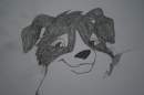 Dunse as pup