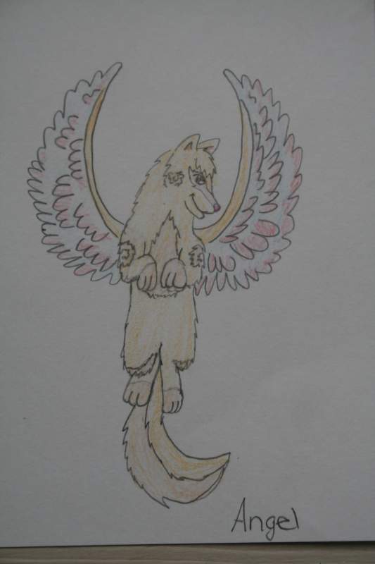 Angel