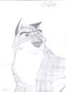 this is the 2cnd (LOL)