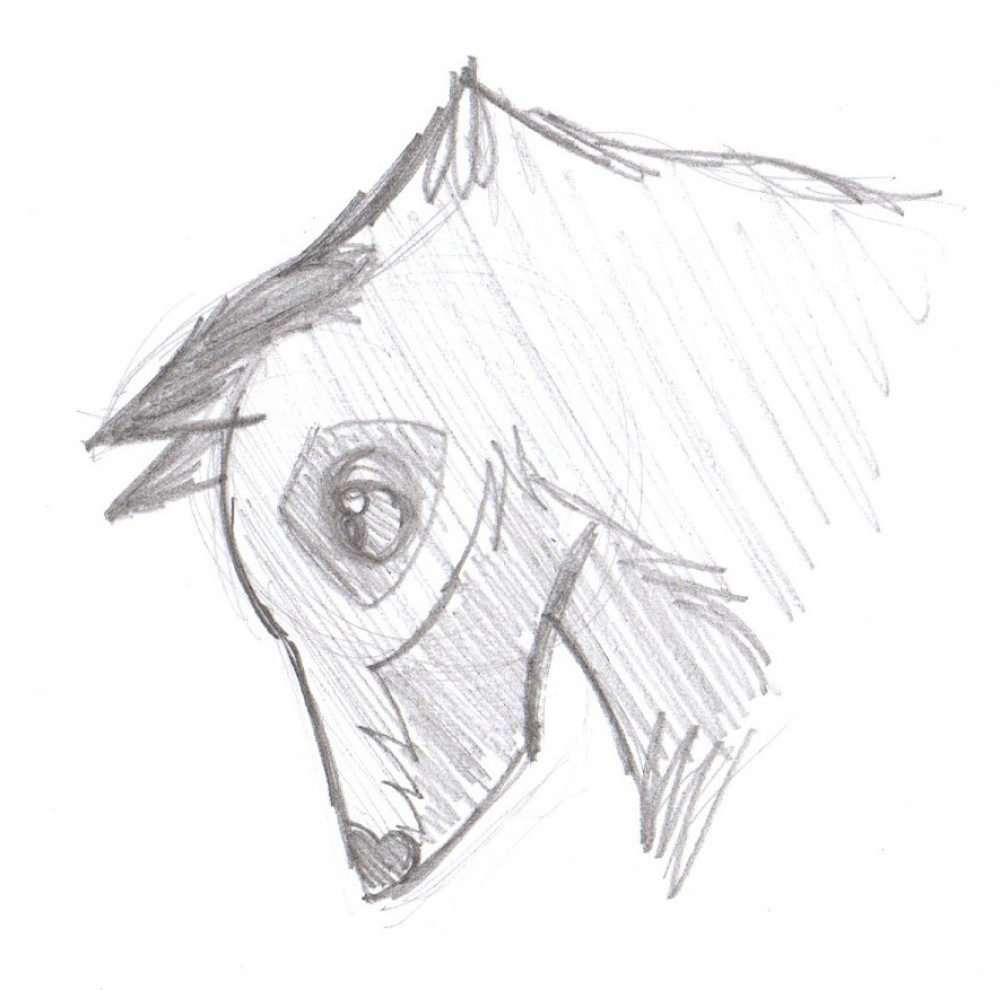 Balto - realism?
