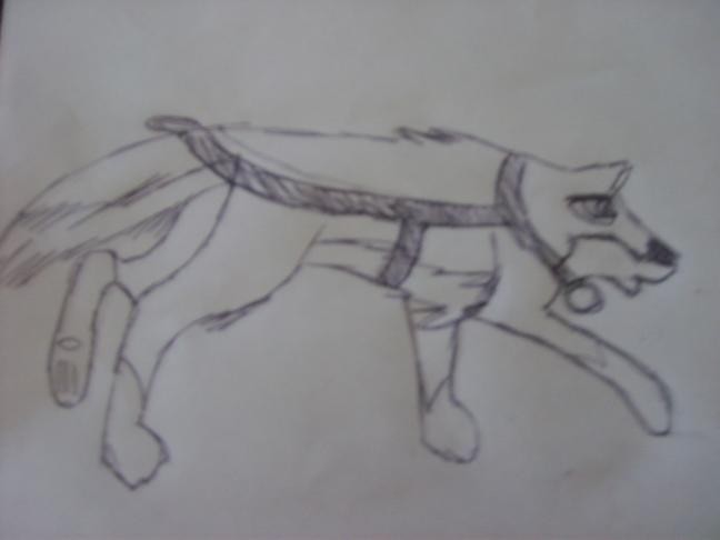 Balto ~ Lead Dog