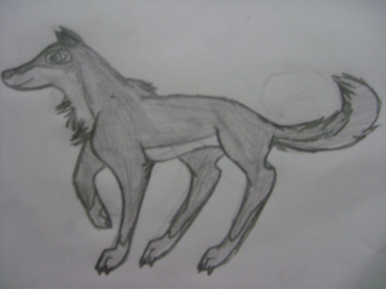 Balto in My Style :P