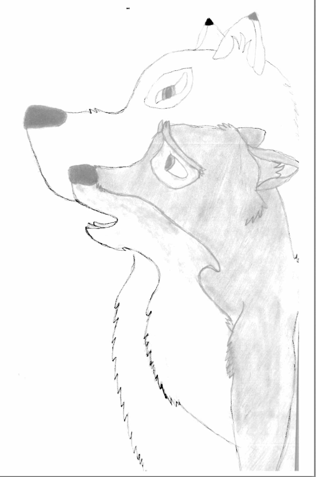 Balto an aniu