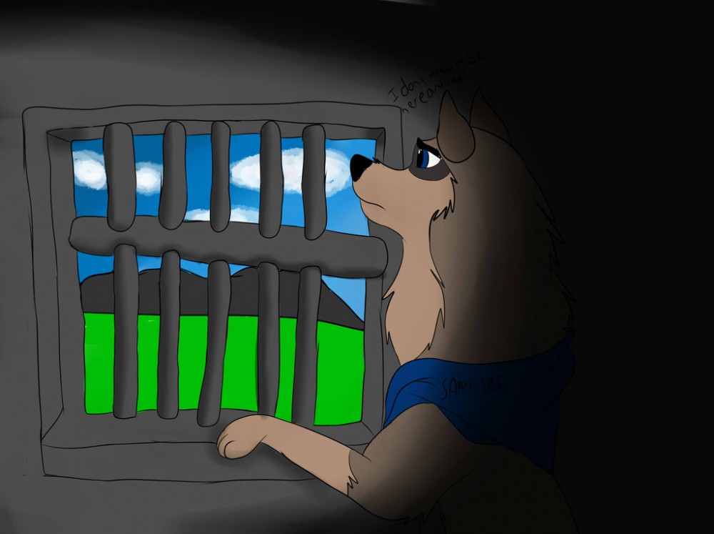 I dont want to be here anymore 