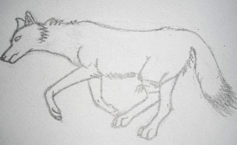 Garov