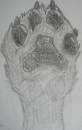Wolf Paw