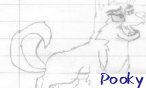 pooky