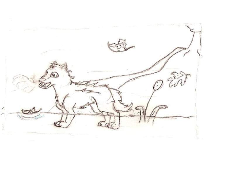wolf in water.