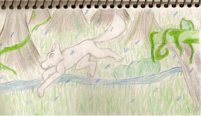 wolfey jumping from hill