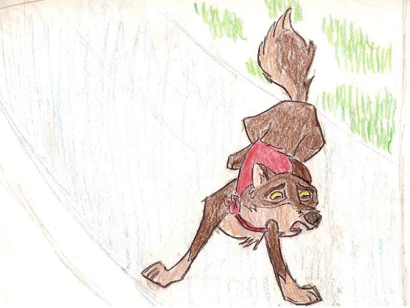 Balto sliding on ice
