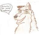 Fluffy Balto
