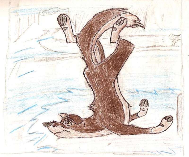 oops! Balto slipped