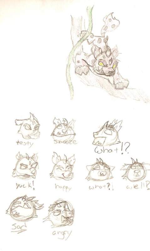 Petpet