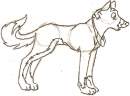 Puppey dog! 