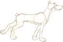 Dobermen pincher