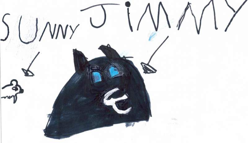 Sunny and I