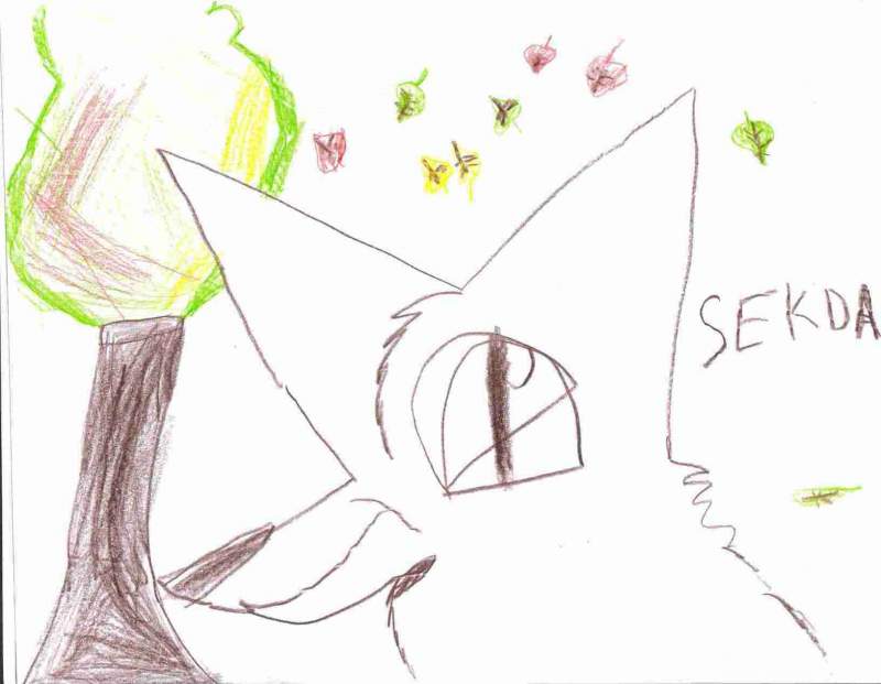 New char, Sekda