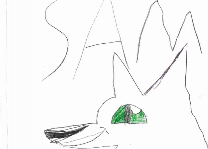 Sam
