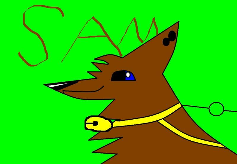 Sam New Char