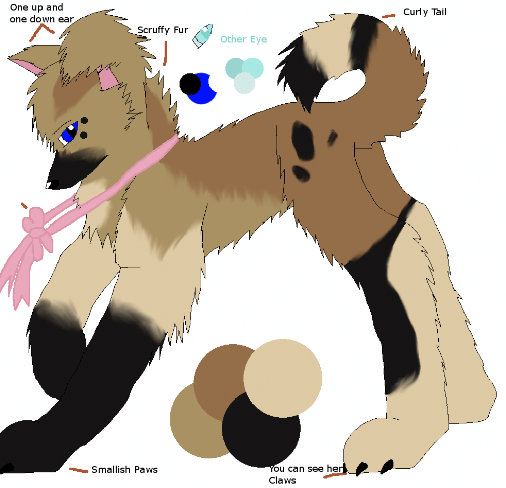 Benji Ref