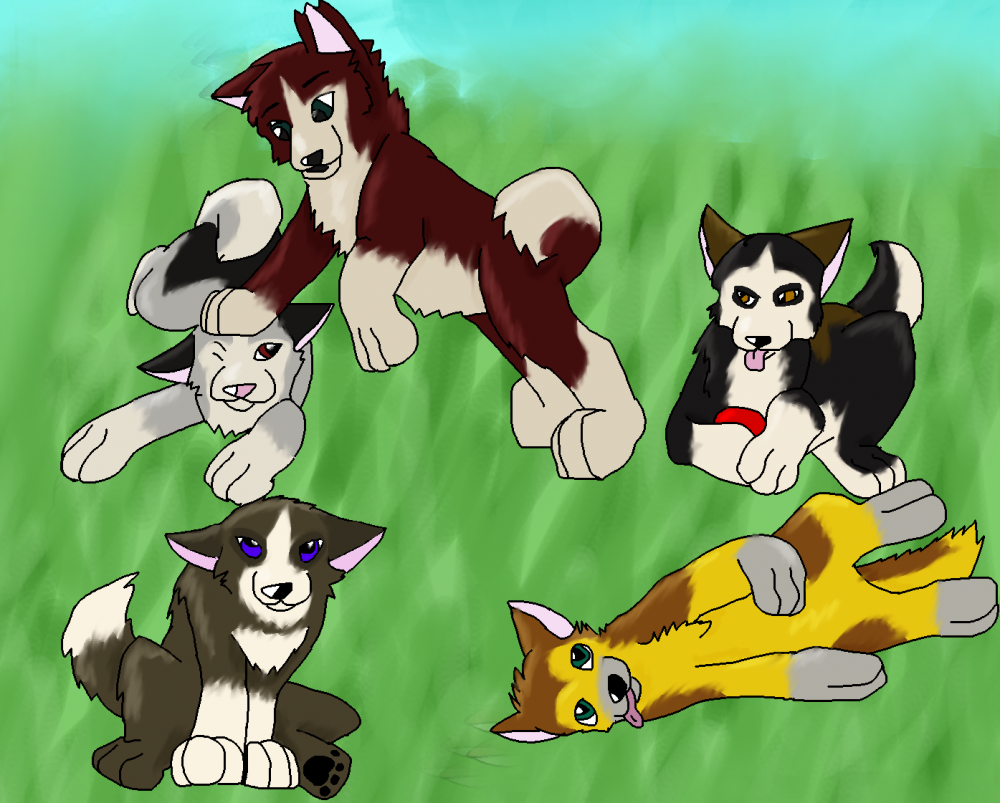 Kades Litter