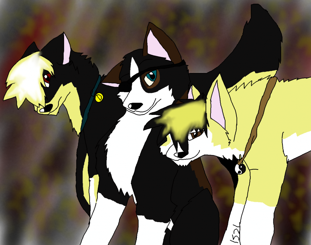Three Borthers