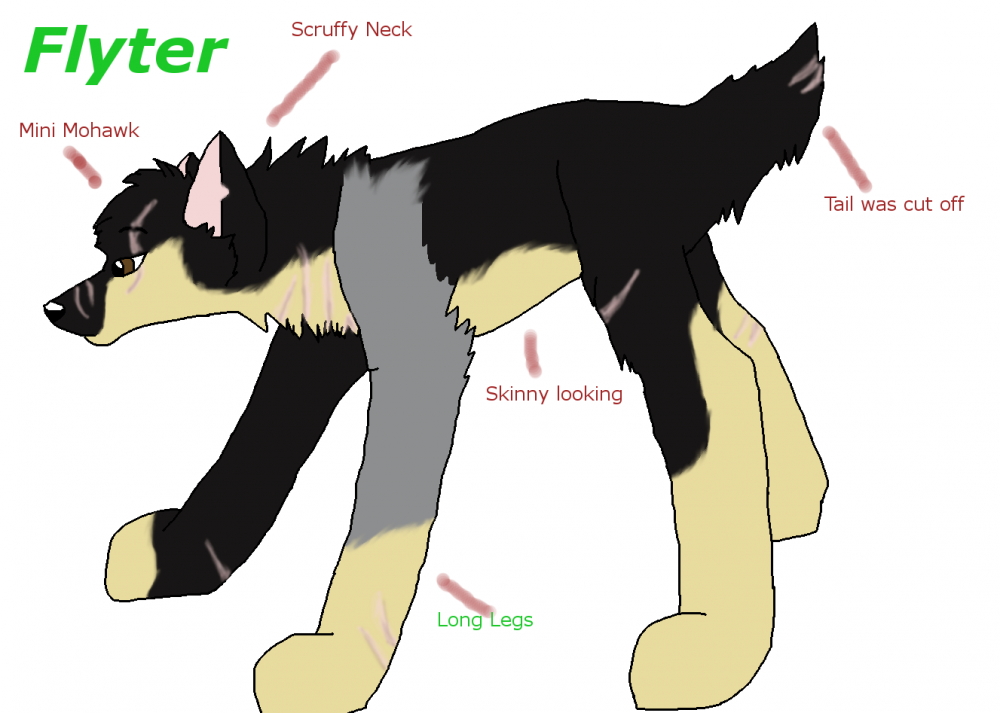 Flyter Ref