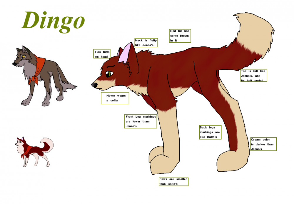 Dingo Refrence