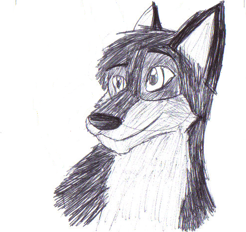 Sketch