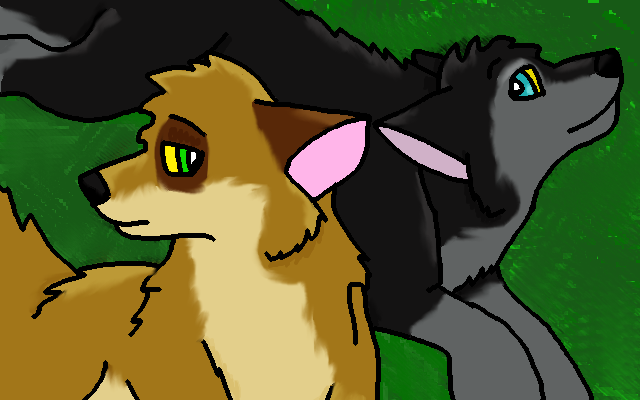 Palo and Belle