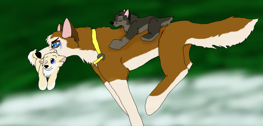 Two Pups