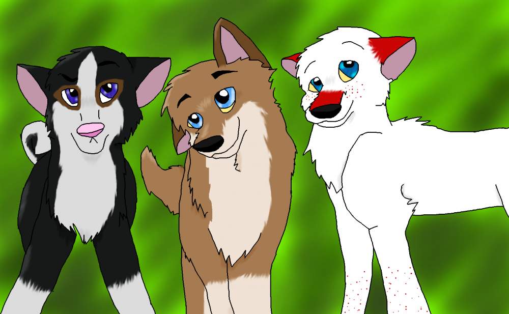Alue and Shatters Pups
