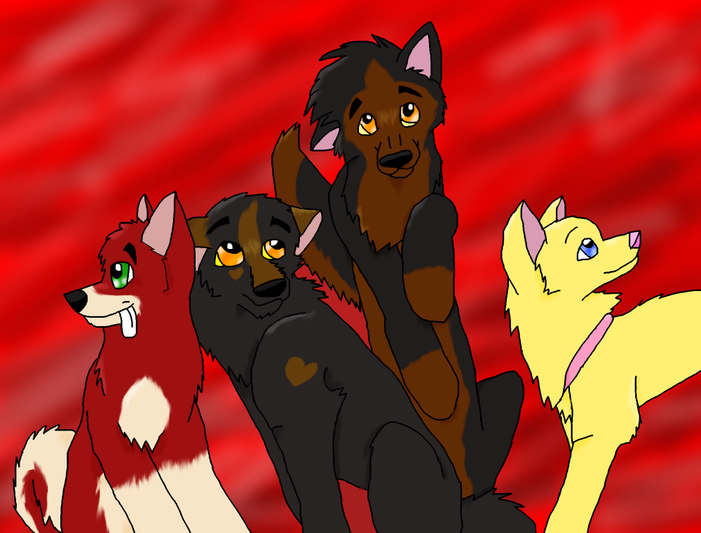 Dingo and Nights Pups