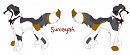 Sumaya