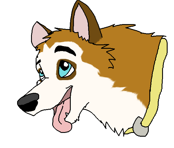 Kade Headshot