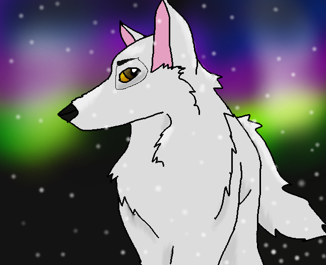 Aniu