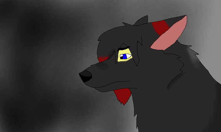 Hazer