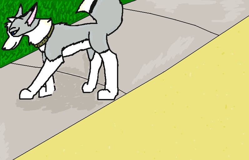 Walking
