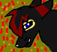 Hazer