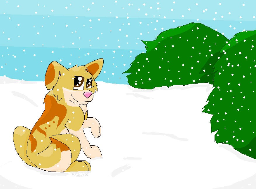 In The Snow