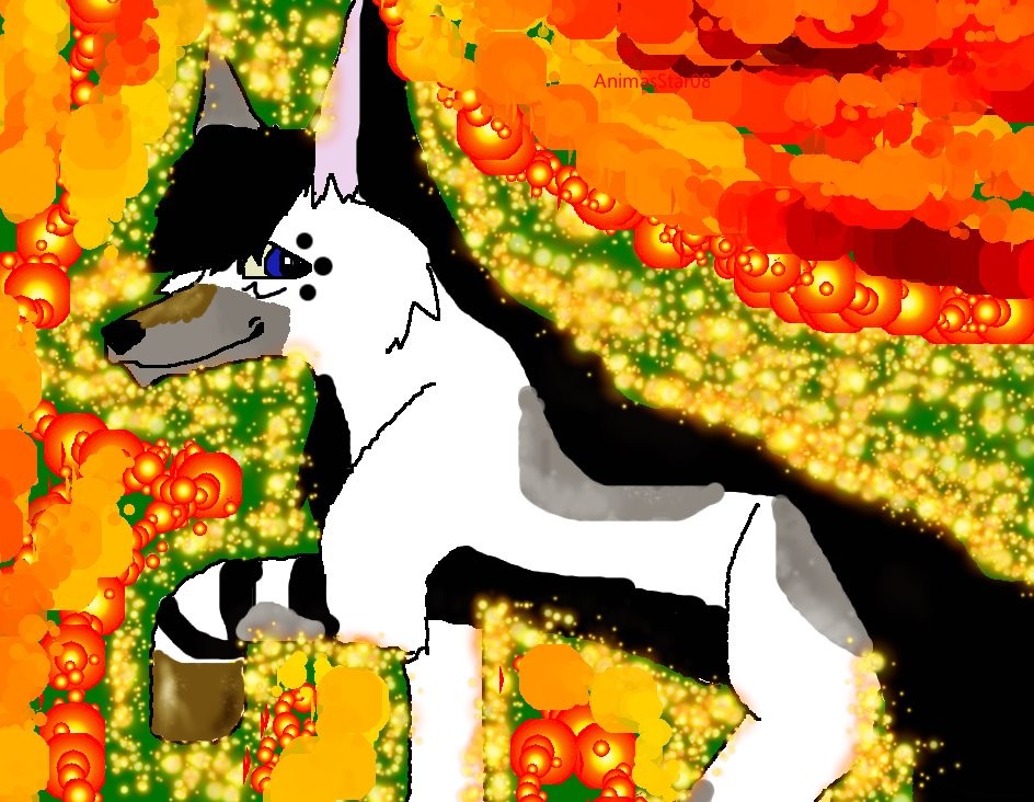 Gimp Boomer