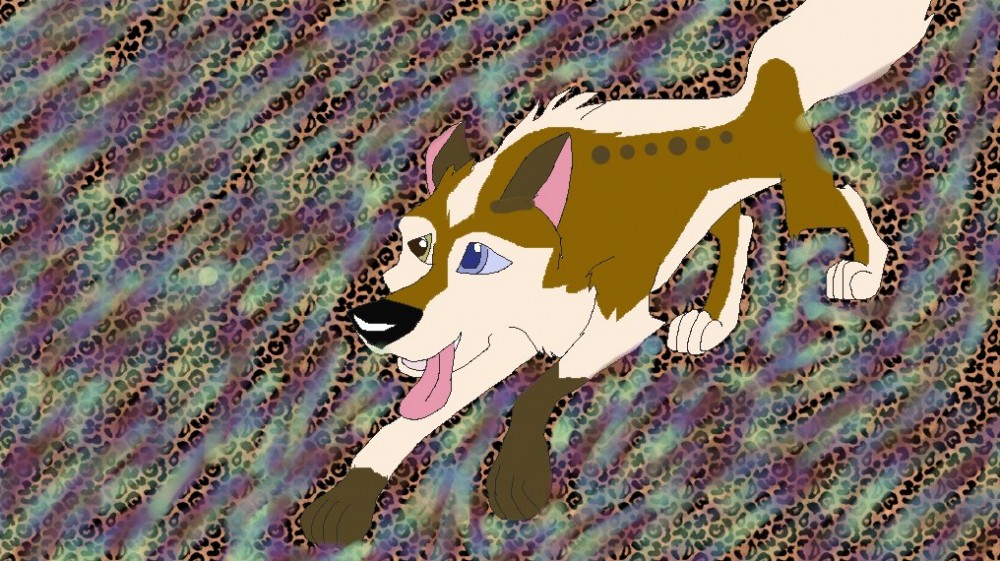 Fast Like A Cheetah