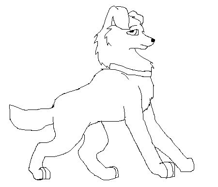 Border Collie Lineart