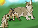 Mother And Pups