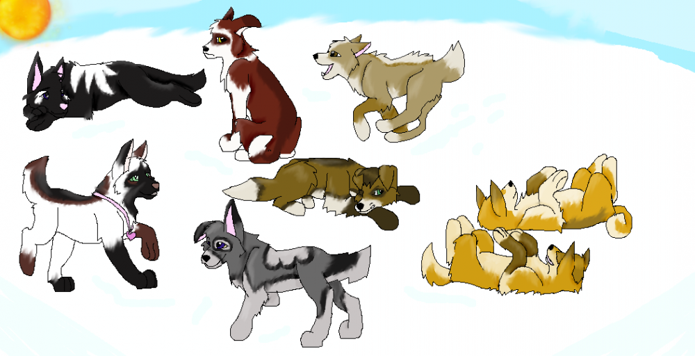 Pups