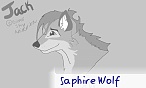 Saphire Wolf 