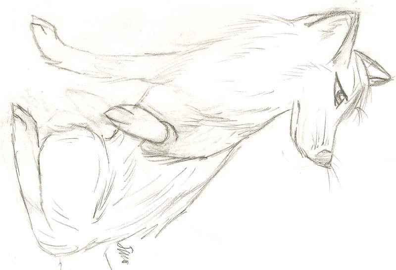 Fox WIP