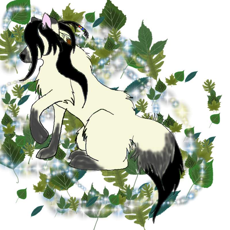 Native Wolf