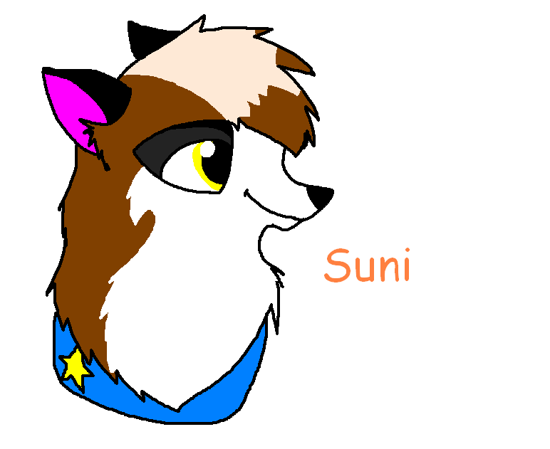 Suni