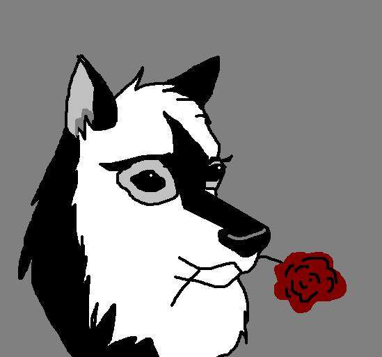 Kiowa with a Rose!!